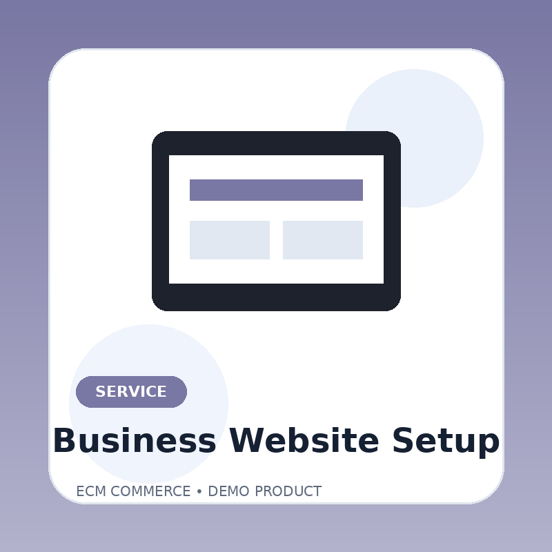 Professional Business Website Setup